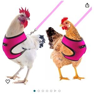 chicken harness